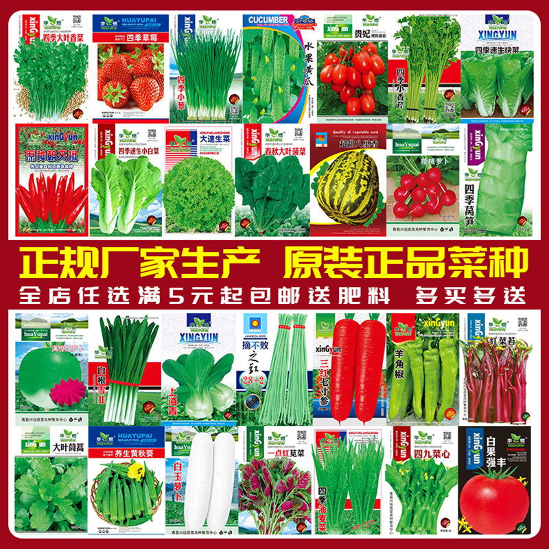 Vegetable seeds sown throughout the year, potted plants, ba
