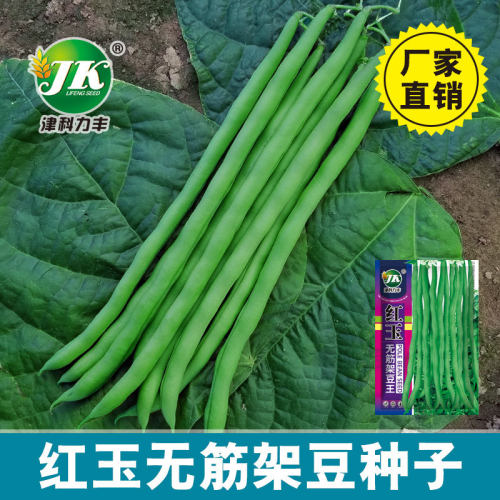 Red Jade Stretchless Thai Bean King Spring Silk free Bean B