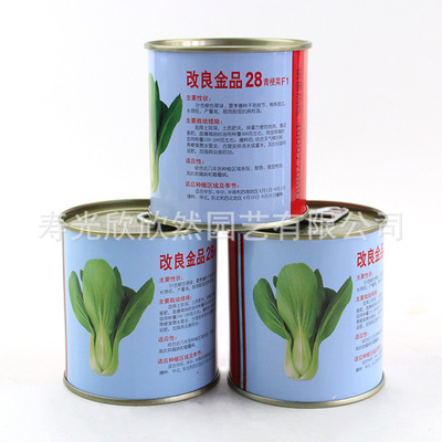改良金品28青梗菜种子耐热耐湿