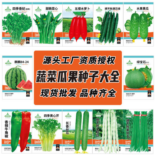 Vegetables, spring and summer vegetables, tomatoes, chili p