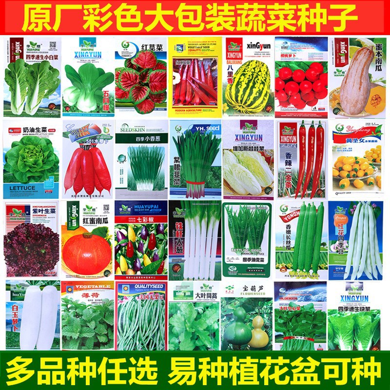 Vegetable seeds original four season sowing courtyard balco