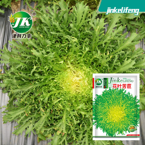 New Flower Leaf Bitter Seed Crushed Leaf Yellow Heart Bitte