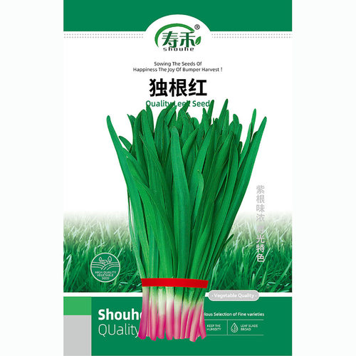 Purple root, chive root, red root, wide leaf root, vegetabl