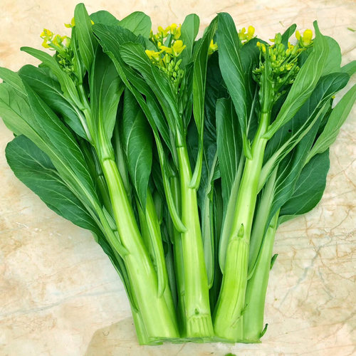 Guangdong 49 Caixin Vegetable Moss Early maturing Heat resi