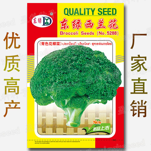 About 300 pieces of East Green Broccoli, West Blue Flower,