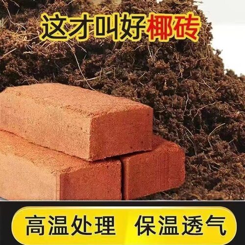CoconutBrickCampUniversal