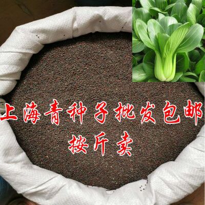 small model toy， Shanghai Qingxiao rapeseed sold in small