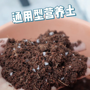 Flower universal flower household pot succulent soil flower
