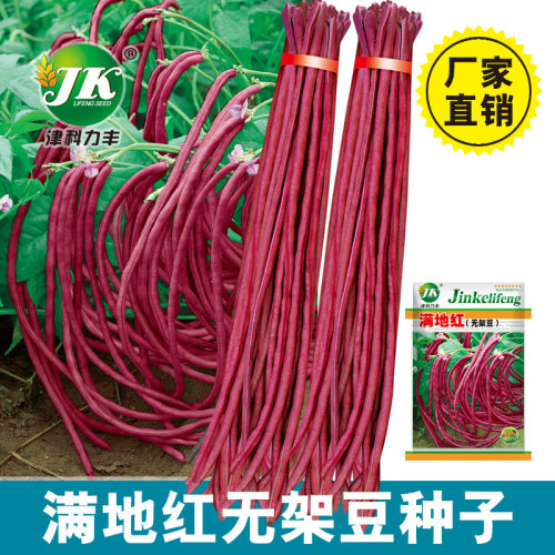 Red floor without frame, bean red without frame, long beans