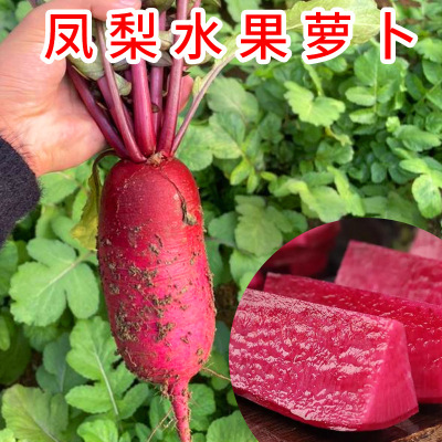 small model toy， Pineapple fruit, radish, red emerald radi