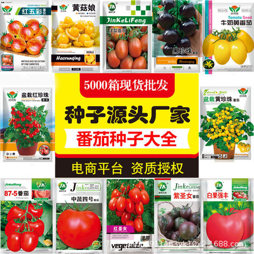 Tomato hair powder, sand pulp, red, yellow, black, tomato,