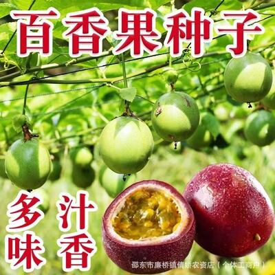small model toy， Hundred fruits, raw eggs, fruit