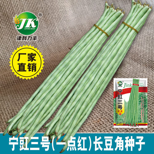 Ningjiang No.3 long bean with a little red cowpea, spring a