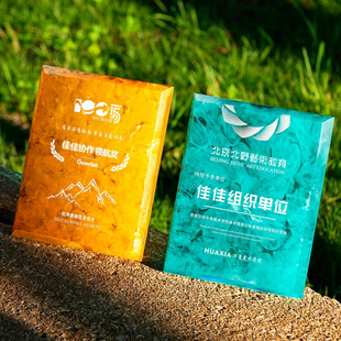 高级感奖牌创意树脂优秀员工加盟商证书感谢牌匾授权牌制做