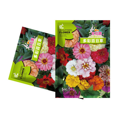New Colorful Centennial Grass Easy Pot Flower Sea Wildflowe