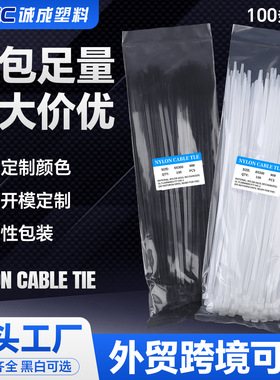 扎带100条自锁式尼龙扎带nylon cable ties中性束线扎带