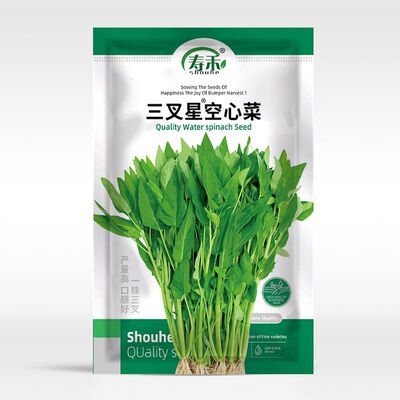Trident hollow cabbage seedlings, seedlings, Tongxin vegeta