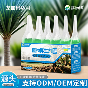Aishangke Dragon Blood Tree Plant Regeneration Agent Specia