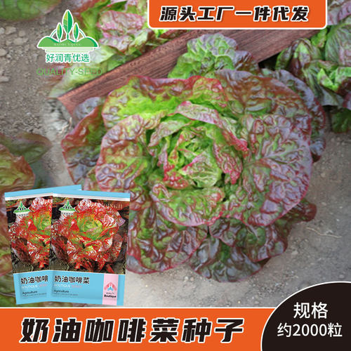 New Cream, Coffee, Burger Salad, Red Hydrangea Lettuce, Pur