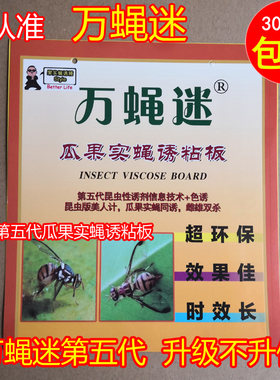 果蝇诱捕器万蝇迷诱粘板粘虫板粘虫胶瓜果实蝇针蜂通粘果蝇贴纸