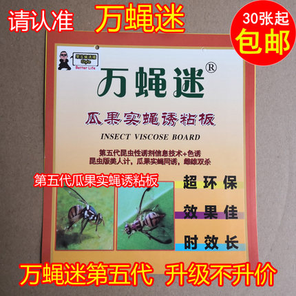 果蝇诱捕器万蝇迷诱粘板粘虫板粘虫胶瓜果实蝇针蜂通粘果蝇贴纸