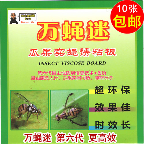 果蝇诱粘板粘虫胶粘虫板果蝇诱捕器万蝇迷第六代瓜果菜园针蜂贴纸