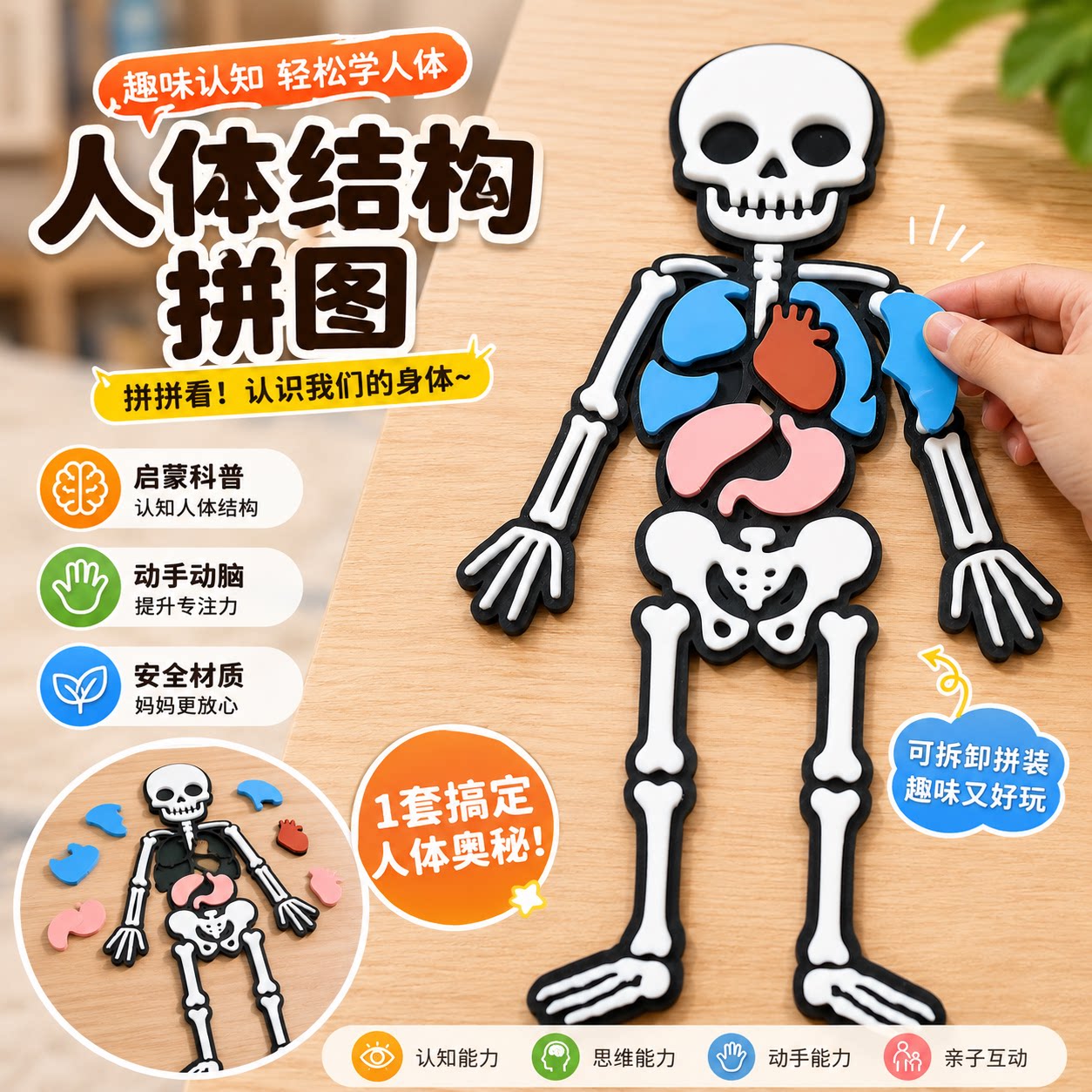 儿童益智骷髅头人体结构拼图