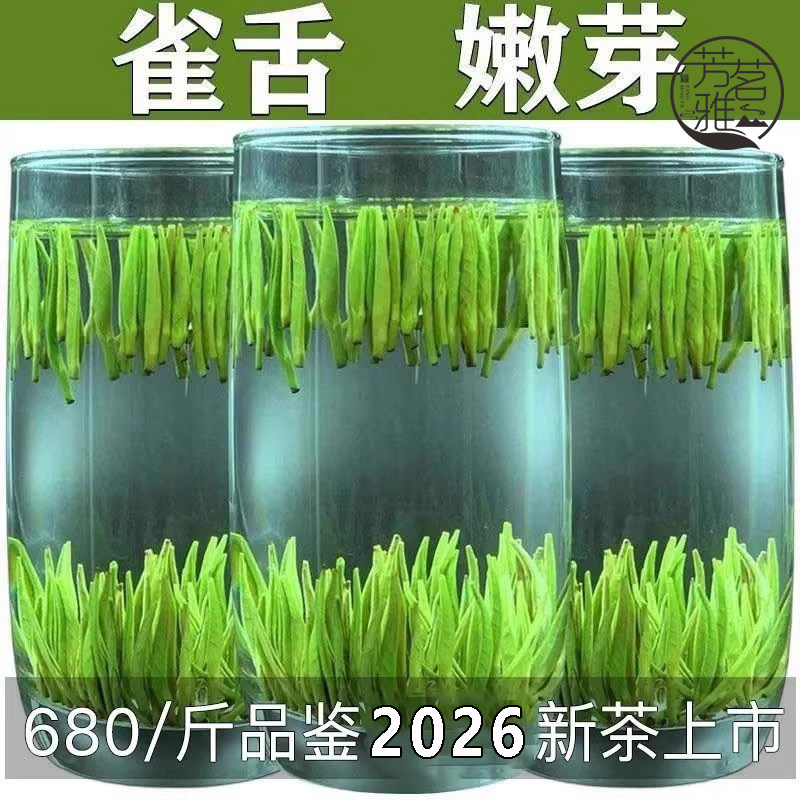 680/斤新茶上市特级雀舌绿茶品鉴图片