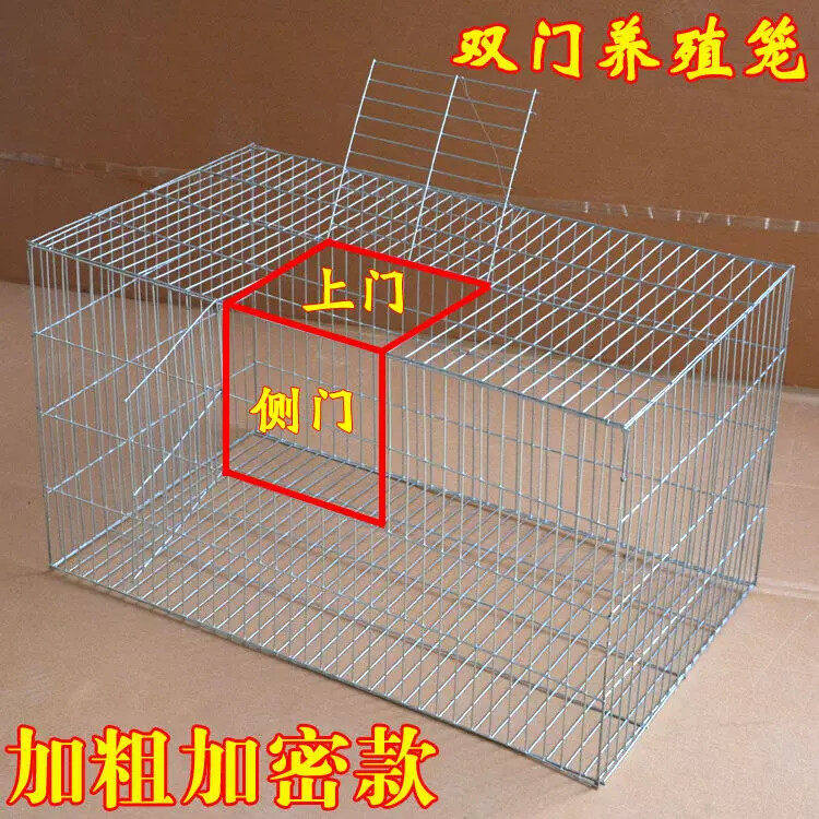 装蛇铁丝笼蛇箱不锈钢装蛇的笼子铁笼养蛇箱鸡笼兔子笼老鼠笼