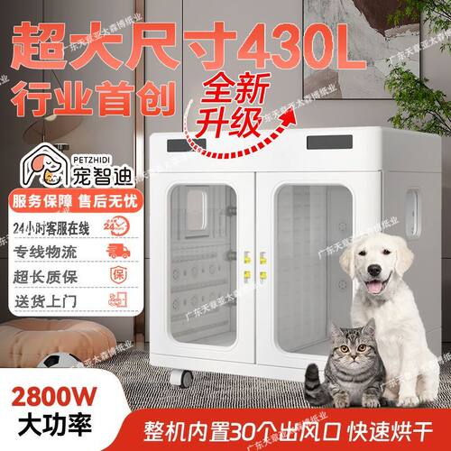 宠智迪烘干机狗狗洗澡大型犬智能烘干箱金毛阿拉斯加负离子吹水机