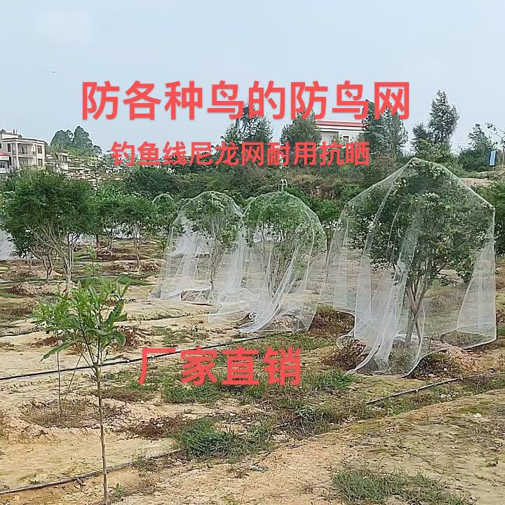 防止鸟吃果子的网果树鸟网防鸟农用樱桃果园防护网防鸟罩全罩嘉宝