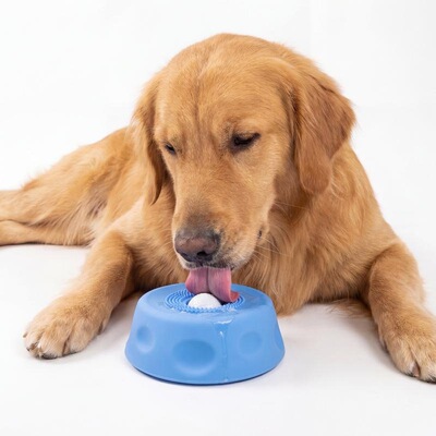 Interactive SpintoEat Slow Feeder Pet Bowl Builtin Rolling