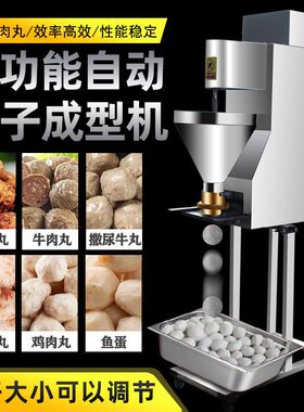小型商用丸子机大小鱼肉丸子成型机猪牛肉丸子机蔬菜素团子机
