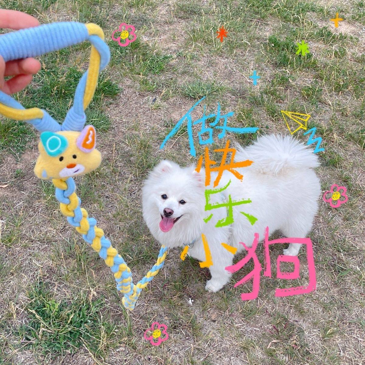 加粗中大型犬加长款不勒手防爆冲一拖二短款狗狗牵引绳遛狗单绳子
