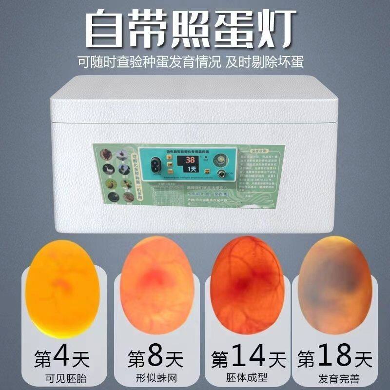 养殖孵化箱家用小型家庭孵化小鸡全自动全自动孵化器儿童孵化鸡蛋