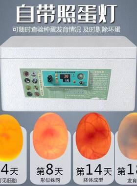 养殖孵化箱家用小型家庭孵化小鸡全自动全自动孵化器儿童孵化鸡蛋