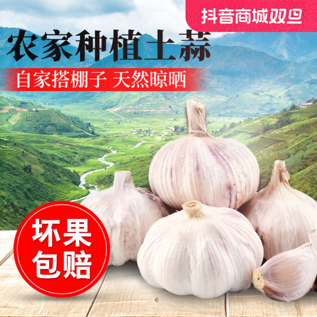 【正常发货】杞县特产 蒜农直发大蒜 白紫皮晒干大蒜 厨房