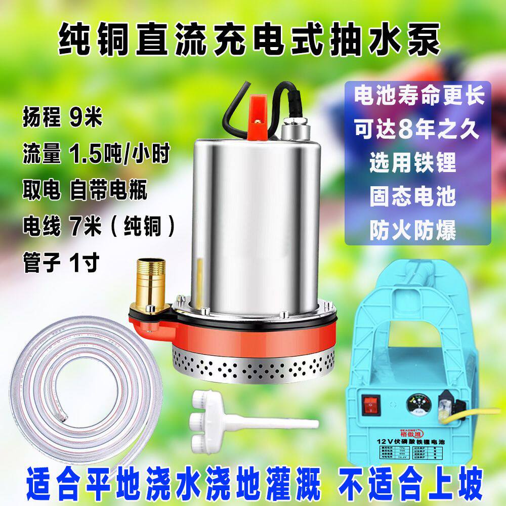 12V小型家用便携式水泵抽水直流潜水泵24V电瓶抽井水农用浇地灌溉