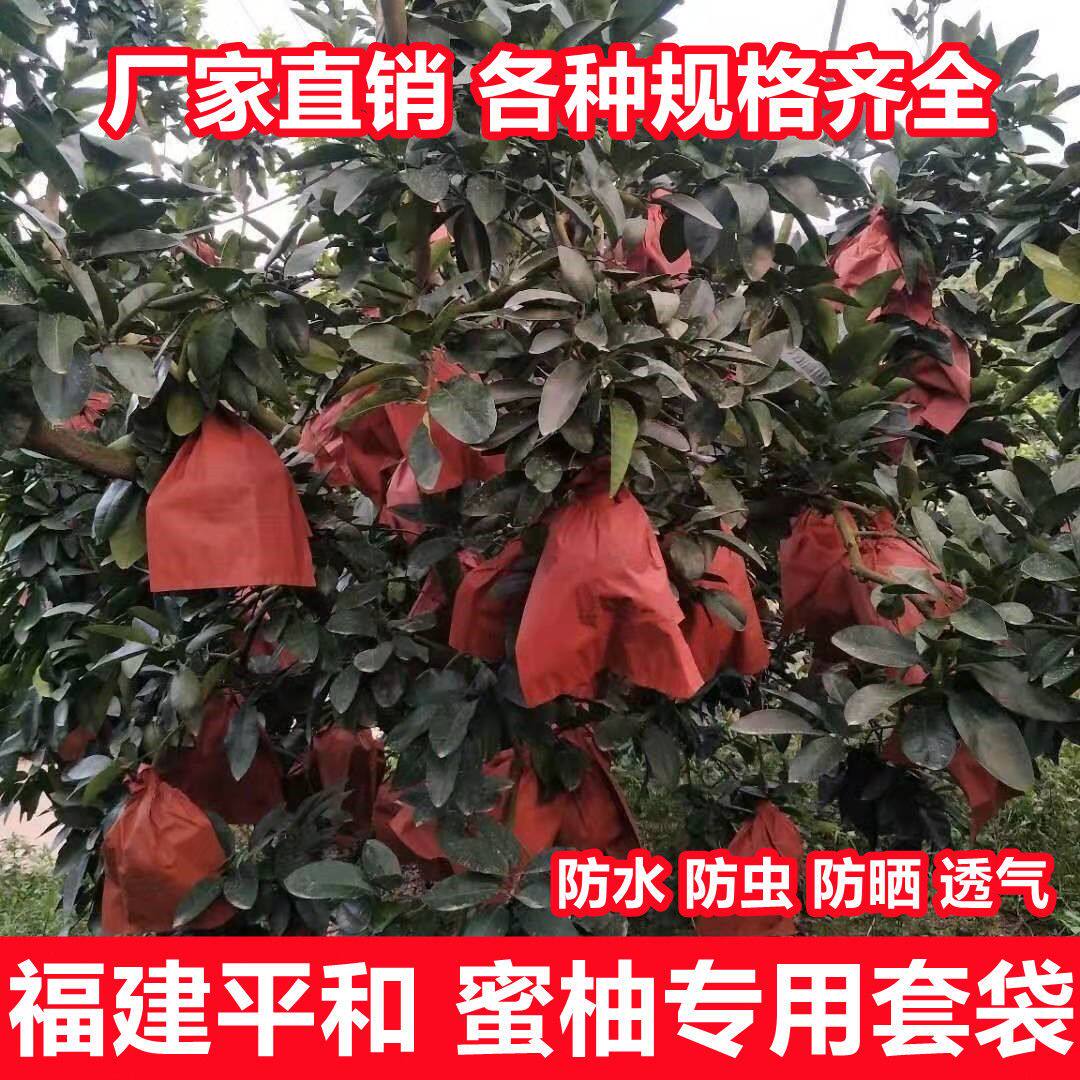 柚子套袋水果蜜柚专用袋子福建平和红柚袋子防水防虫防晒双层三层