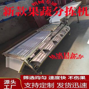 新款选果机圣女果百香果李子分拣机核桃分选机槟榔脐橙分级机家用