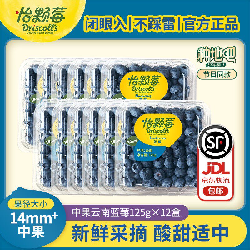 怡颗莓云南蓝莓14mm+中果125g*12盒净重1500g直发 新鲜采摘