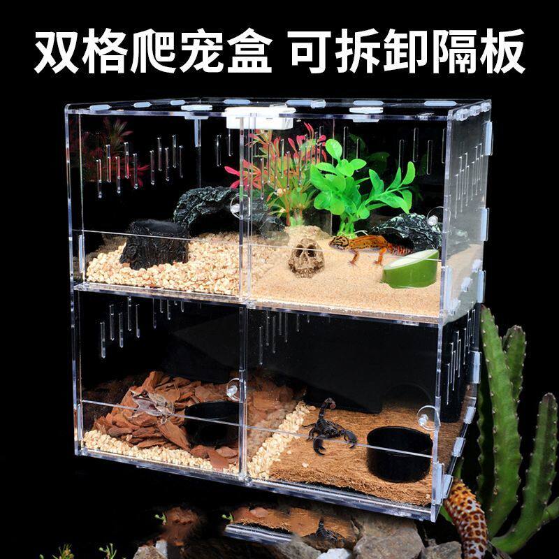 老爷树蛙睫角守宫专用饲养箱亚克爬宠缸/箱