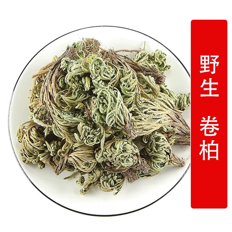 秦岭野生山货卷柏500g别名万岁草 长生不死草 九死还魂草