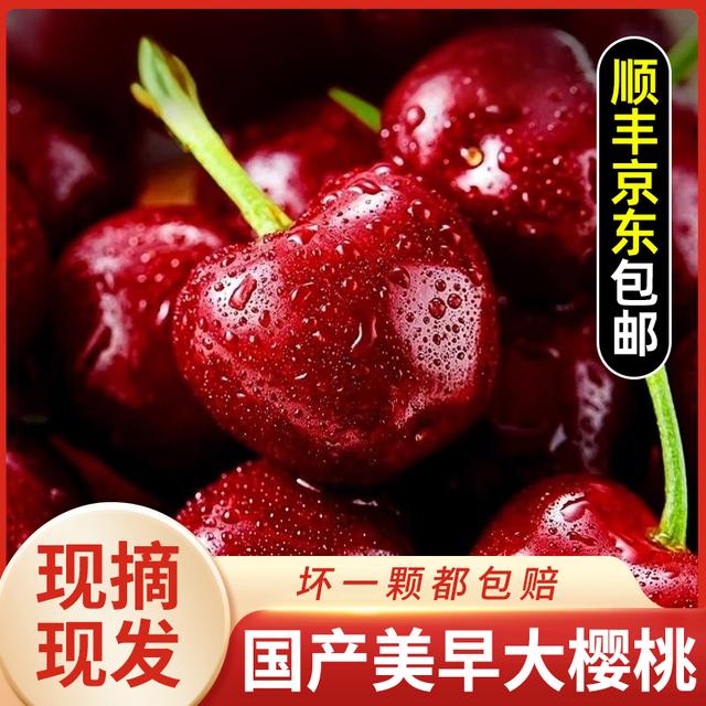 S1顺丰速运智利空运进口车厘子应季水果J-5JD内附果径卡0.9-5斤