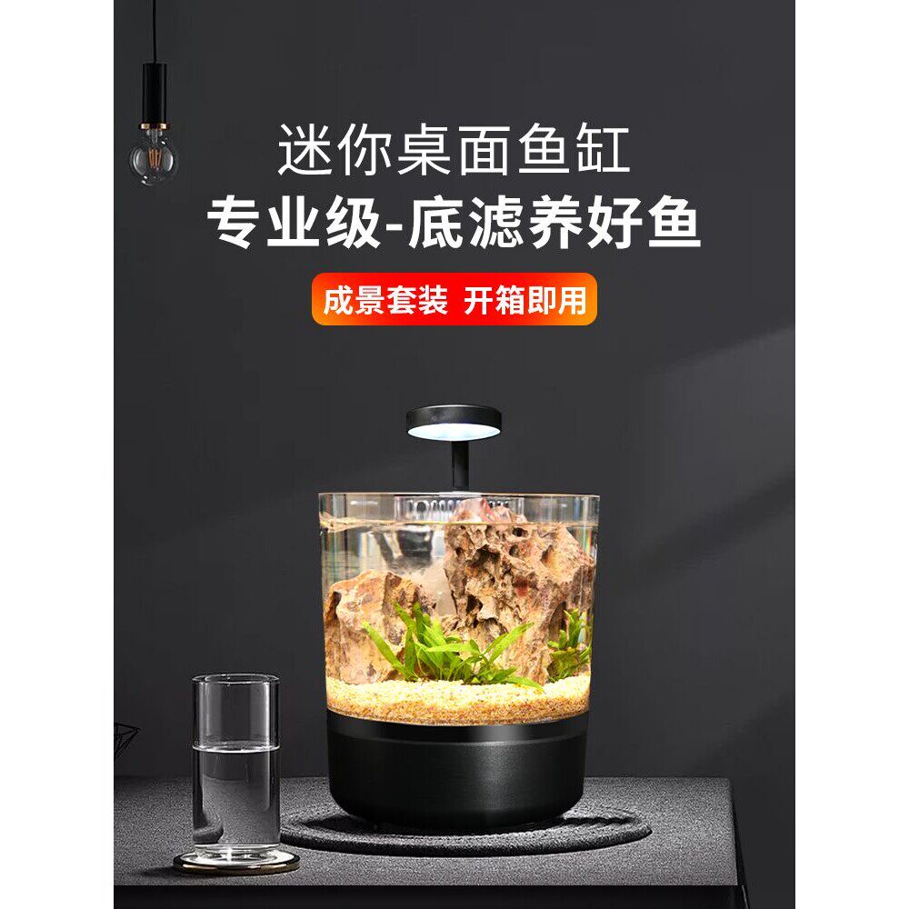 客厅小型生态鱼缸桌面一体式免换水迷你斗鱼家用水族箱儿童潜水猫