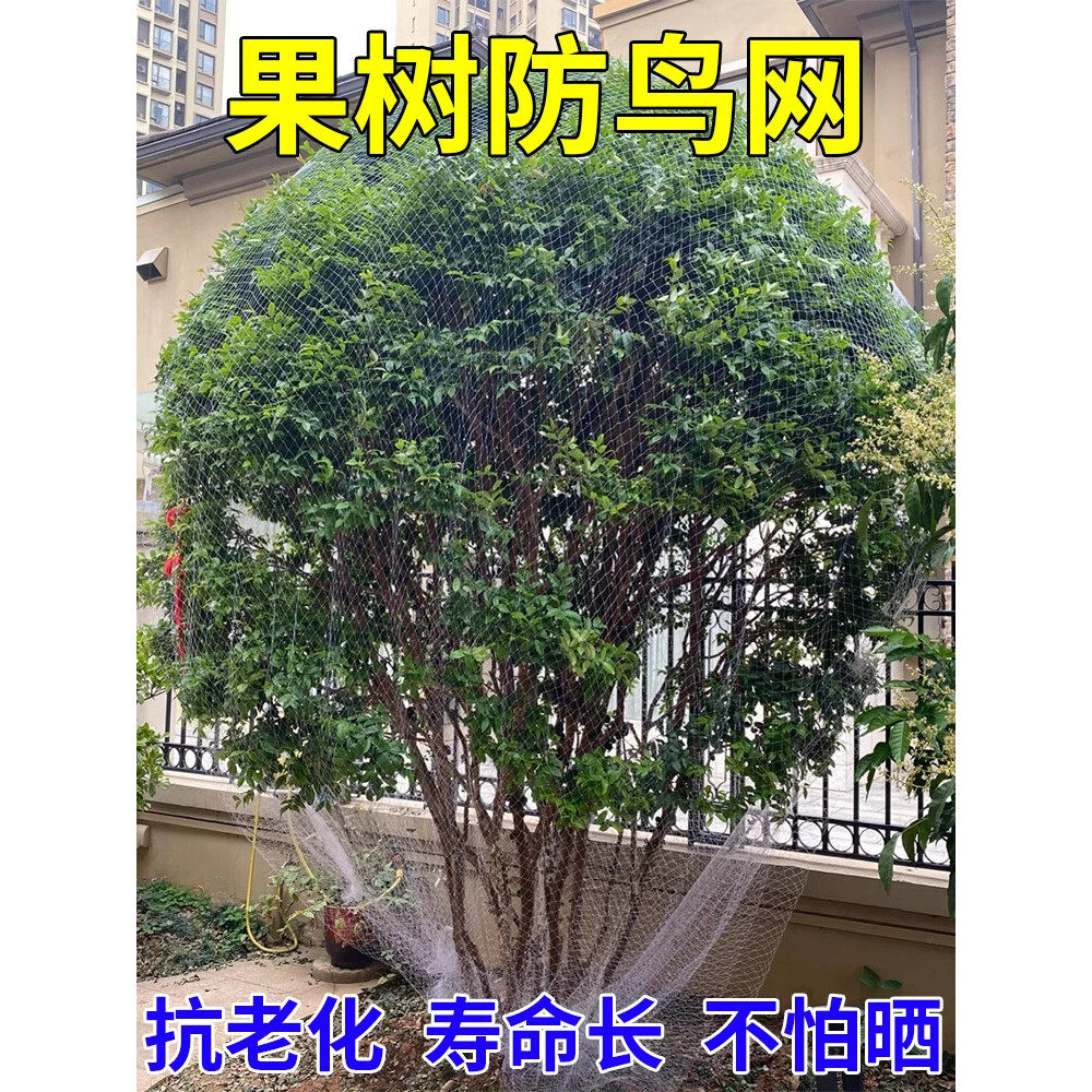 果树防鸟用的网农用防鸟丝网果园大棚天网果树防鸟罩子阳台防鸟网