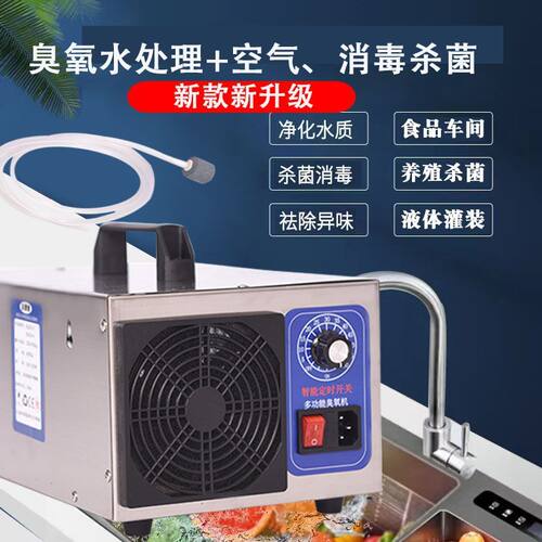 臭氧水发生器生成水处理消毒机两用型水杀菌净化水质污水果臭氧机