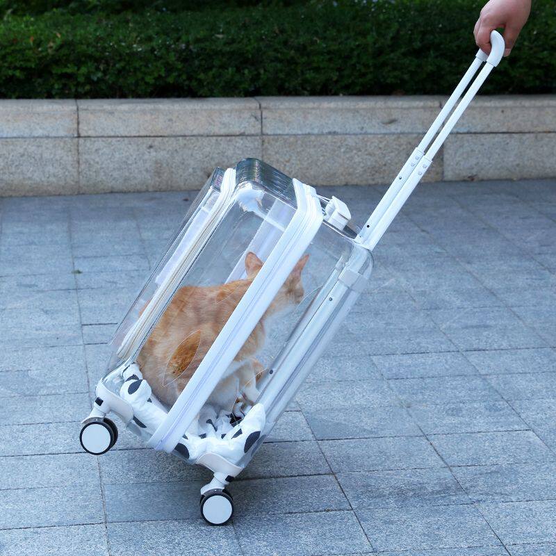 猫包拉杆箱大号狗狗太空舱宠物外出便携透明行李箱猫咪高颜值笼子