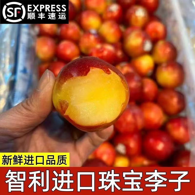 顺丰冷链智利进口太阳李珠宝李糖果李恐龙蛋李子新鲜当季水果
