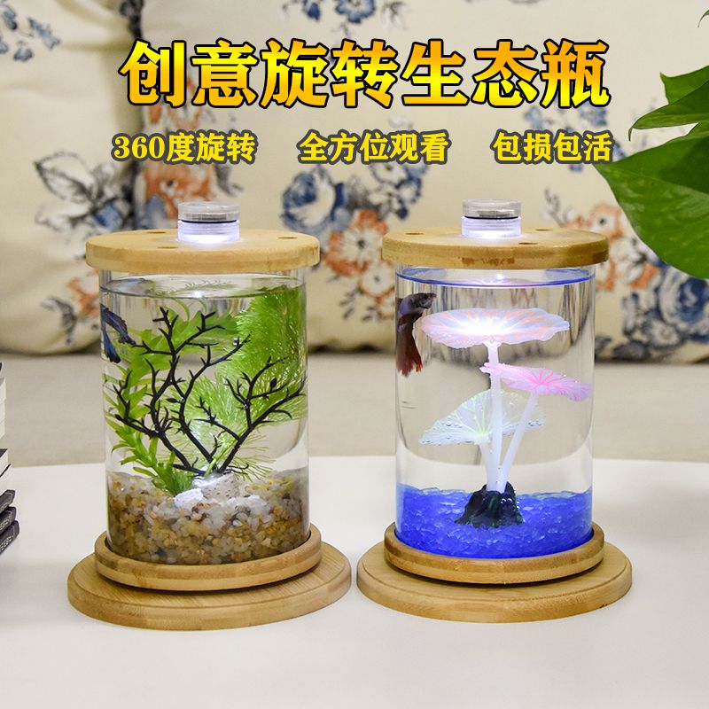 初中生物生态瓶材料创意办公桌面懒人小型玻璃微景观缸旋转圆形鱼